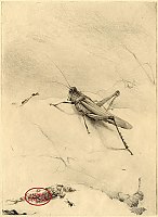Grasshopper and Ants by Edward Julius Detmold