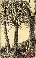 [Cornish Elms with the Farm in the distance] by Eleanor Mary Hughes