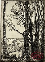 [The Wood above the House] by Eleanor Mary Hughes