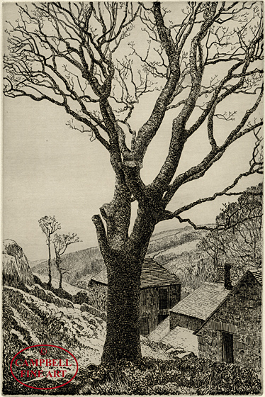 [The Tree behind the Farm] by Eleanor Mary Hughes 