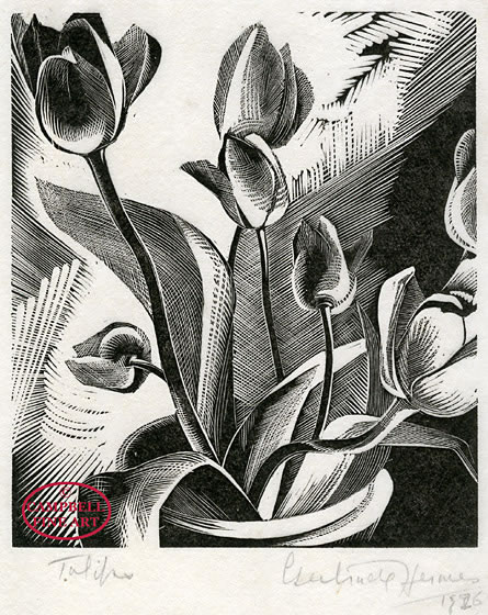 Tulips by Gertrude Hermes 