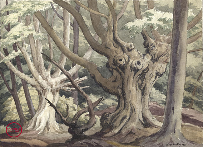 [Woodland Scene] by George Mackley 