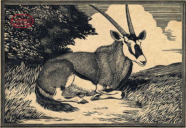 An Antelope by William Neave Parker 