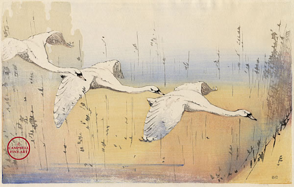 Swans in Flight by Allen William Seaby 