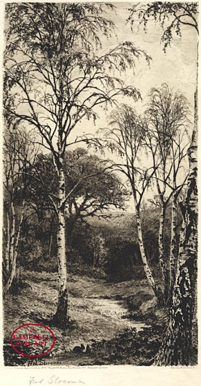 The Birchwood by Frederick Albert Slocombe 