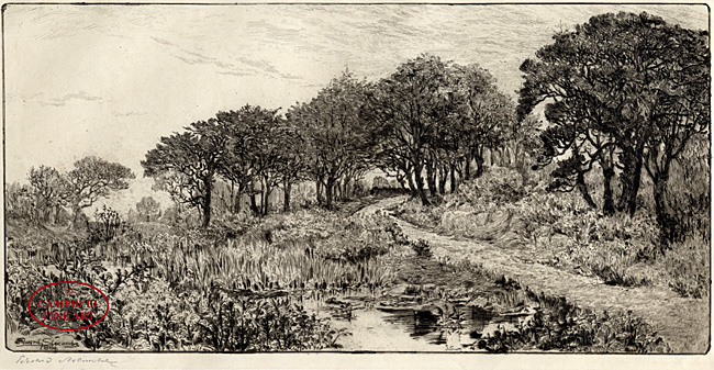 A Surrey Lane by Edward Slocombe 