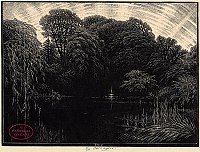 The Lake