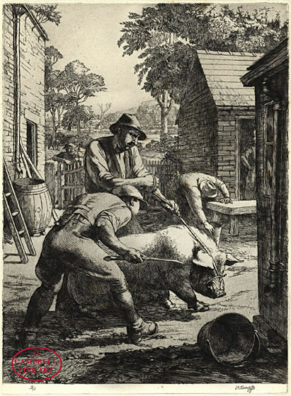 To the Slaughter by Charles Frederick Tunnicliffe 