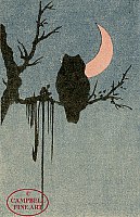 Owl and Crescent Moon